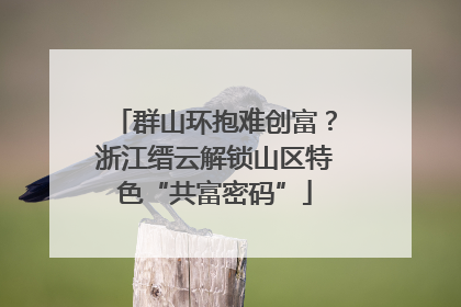 群山环抱难创富？浙江缙云解锁山区特色“共富密码”