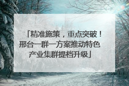 精准施策，重点突破！邢台一群一方案推动特色产业集群提档升级