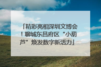 精彩亮相深圳文博会！聊城东昌府区“小葫芦”焕发数字新活力