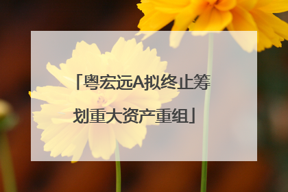 粤宏远A拟终止筹划重大资产重组