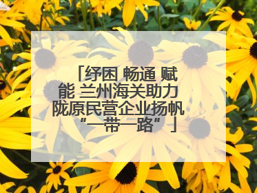 纾困 畅通 赋能 兰州海关助力陇原民营企业扬帆“一带一路”