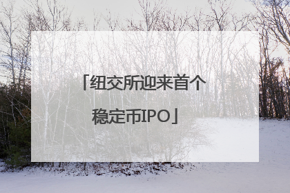 纽交所迎来首个稳定币IPO