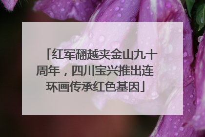 红军翻越夹金山九十周年，四川宝兴推出连环画传承红色基因