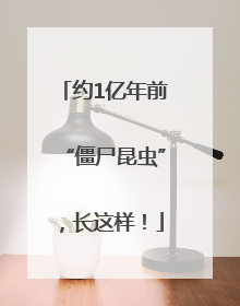 约1亿年前“僵尸昆虫”，长这样！