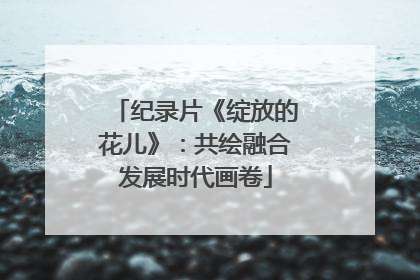纪录片《绽放的花儿》：共绘融合发展时代画卷