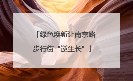 绿色焕新让南京路步行街“逆生长”