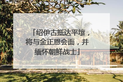 绍伊古抵达平壤，将与金正恩会面，并缅怀朝鲜战士