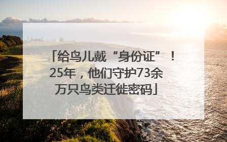 给鸟儿戴“身份证”！25年，他们守护73余万只鸟类迁徙密码