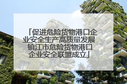促进危险货物港口企业安全生产高质量发展 镇江市危险货物港口企业安全联盟成立