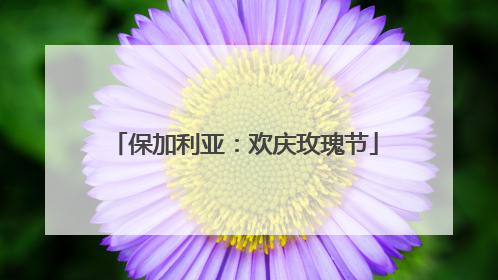 保加利亚：欢庆玫瑰节