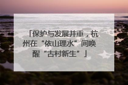 保护与发展并重，杭州在“依山理水”间唤醒“古村新生”