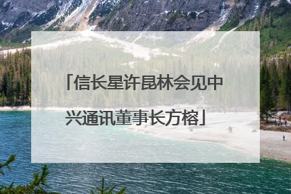 信长星许昆林会见中兴通讯董事长方榕