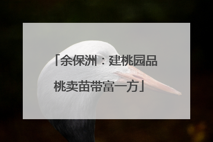余保洲：建桃园品桃卖苗带富一方