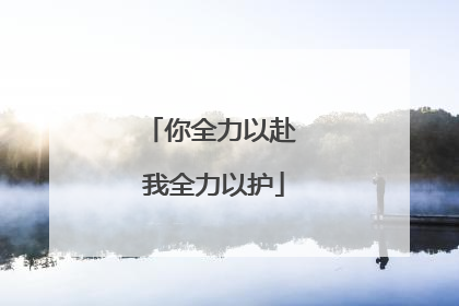 你全力以赴 我全力以护