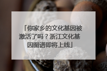 你家乡的文化基因被激活了吗？浙江文化基因图谱即将上线