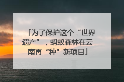 为了保护这个“世界遗产”，蚂蚁森林在云南再“种”新项目