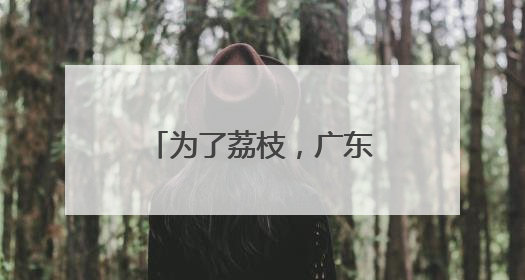 为了荔枝，广东太拼了！千万达人十万村播都来了