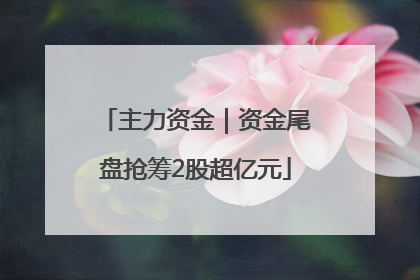 主力资金｜资金尾盘抢筹2股超亿元