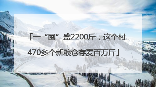 一“囤”盛2200斤，这个村470多个新粮仓存麦百万斤