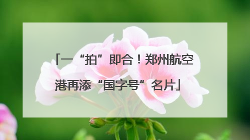 一“拍”即合！郑州航空港再添“国字号”名片