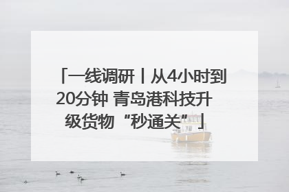 一线调研丨从4小时到20分钟 青岛港科技升级货物“秒通关”