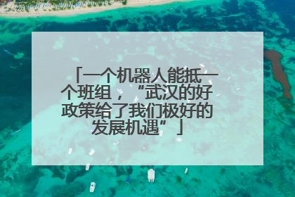 一个机器人能抵一个班组，“武汉的好政策给了我们极好的发展机遇”