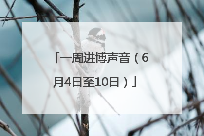 一周进博声音（6月4日至10日）