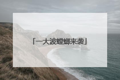 一大波螳螂来袭