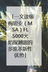 一文读懂梅思安（MSA）FL5000火焰探测器的多重革新性优势
