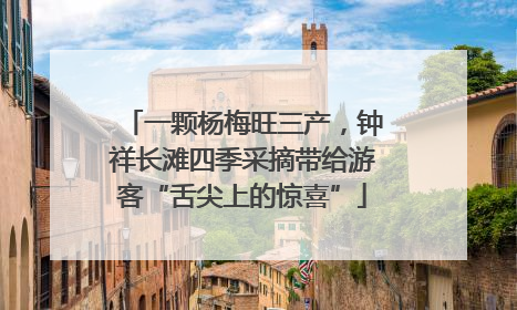 一颗杨梅旺三产，钟祥长滩四季采摘带给游客“舌尖上的惊喜”