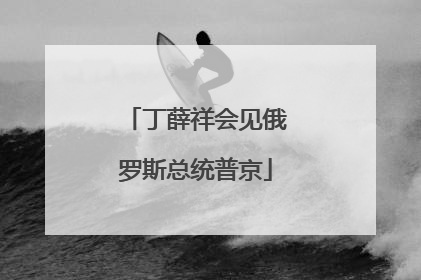 丁薛祥会见俄罗斯总统普京