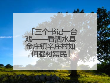 三个书记一台戏——看泗水县金庄镇辛庄村如何强村富民