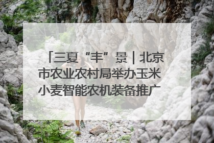 三夏“丰”景｜北京市农业农村局举办玉米小麦智能农机装备推广“田间日”活动