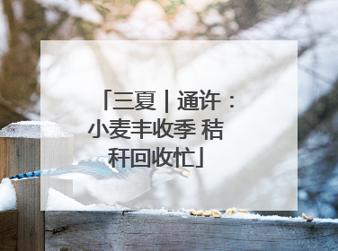 三夏｜通许：小麦丰收季 秸秆回收忙