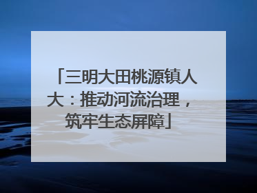 三明大田桃源镇人大：推动河流治理，筑牢生态屏障