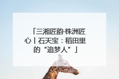 三湘匠韵·株洲匠心丨石天宝：稻田里的“追梦人”