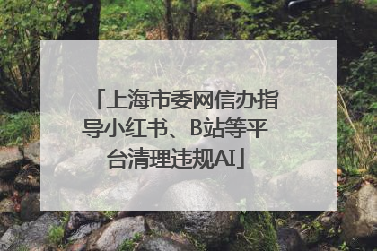 上海市委网信办指导小红书、B站等平台清理违规AI