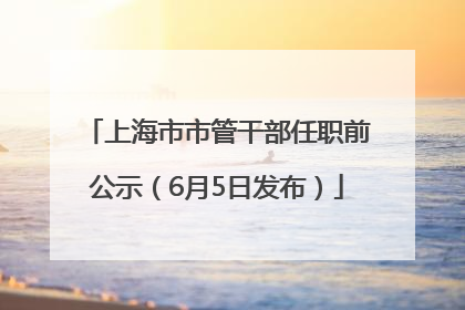 上海市市管干部任职前公示（6月5日发布）