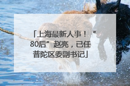 上海最新人事！“80后”赵亮，已任普陀区委副书记