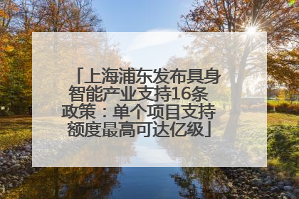 上海浦东发布具身智能产业支持16条政策：单个项目支持额度最高可达亿级