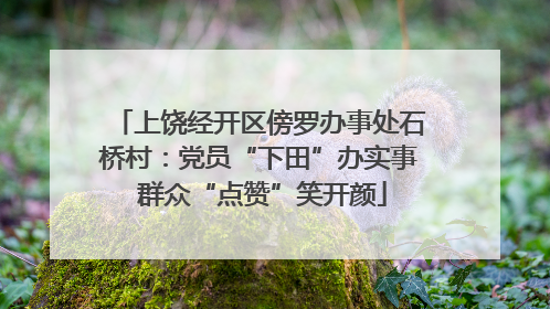 上饶经开区傍罗办事处石桥村：党员“下田”办实事 群众“点赞”笑开颜