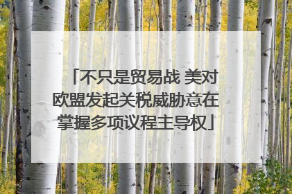 不只是贸易战 美对欧盟发起关税威胁意在掌握多项议程主导权