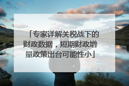 专家详解关税战下的财政数据，短期财政增量政策出台可能性小