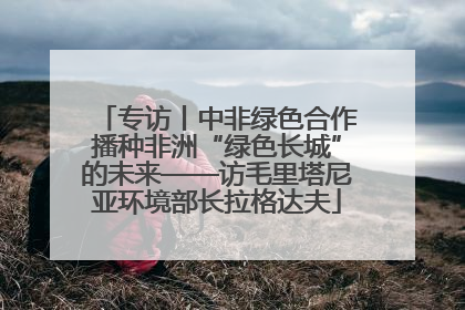 专访丨中非绿色合作播种非洲“绿色长城”的未来——访毛里塔尼亚环境部长拉格达夫