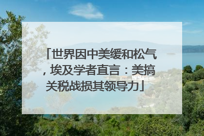 世界因中美缓和松气，埃及学者直言：美搞关税战损其领导力