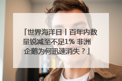 世界海洋日丨百年内数量锐减至不足1% 非洲企鹅为何迅速消失？