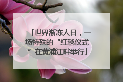 世界渐冻人日，一场特殊的“红毯仪式”在黄浦江畔举行