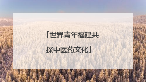 世界青年福建共探中医药文化