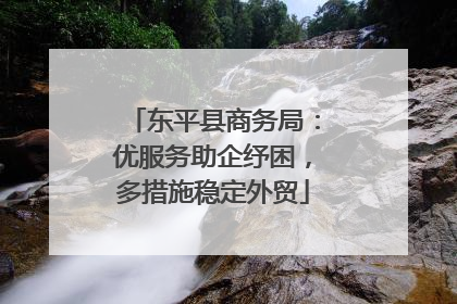 东平县商务局：优服务助企纾困，多措施稳定外贸