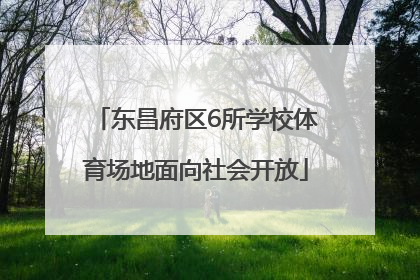 东昌府区6所学校体育场地面向社会开放